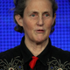 Illustration for article titled "A Bunch Of Social 'Yak Yaks'": Temple Grandin And Autism